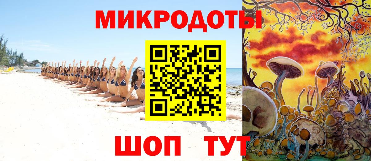 Псилоцибиновые грибы Cubensis Котлас