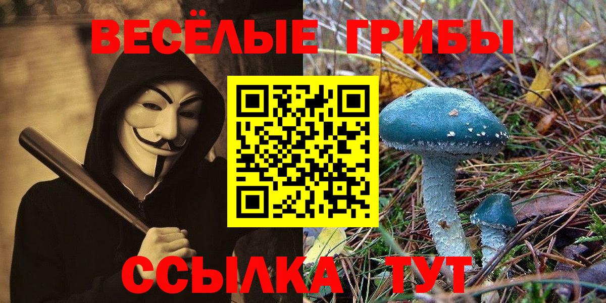 Галлюциногенные грибы MAGIC MUSHROOMS  Вход с VPN  Котлас 